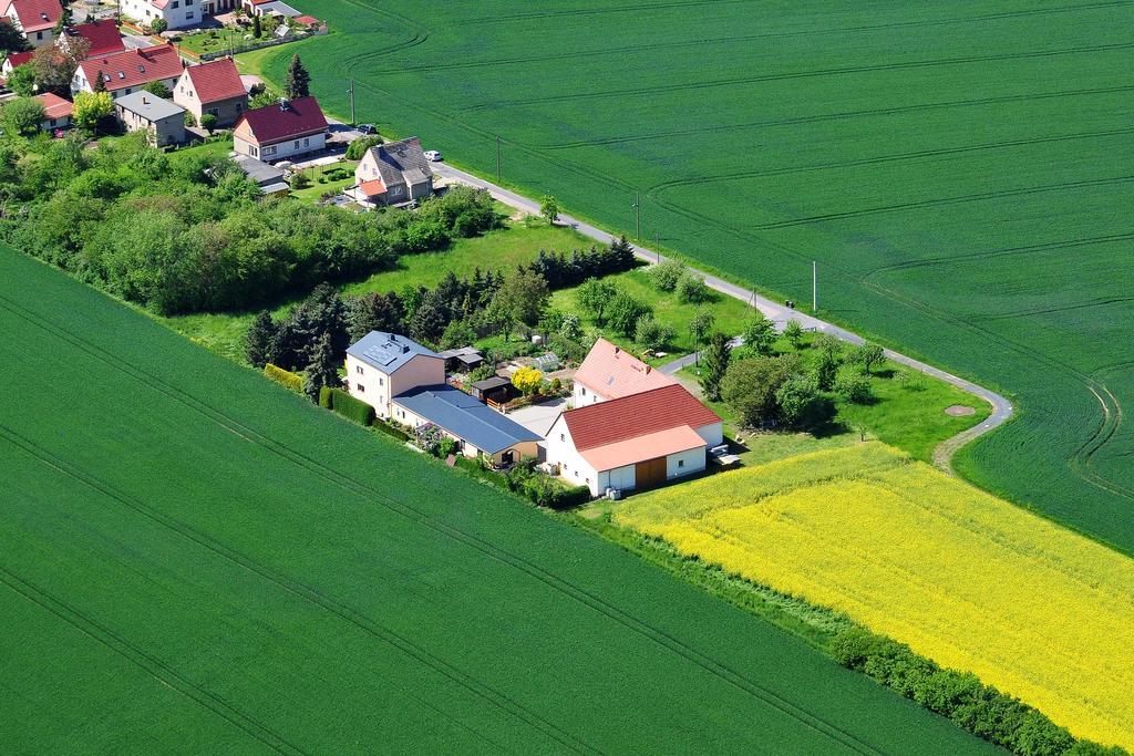 Hotel Gastehaus Schirner Niederau Zewnętrze zdjęcie